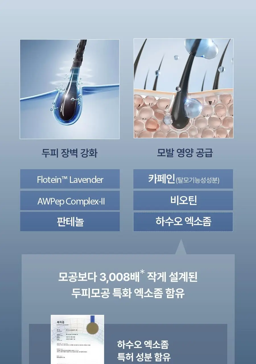 [2주완성탈모앰플] 에이페 스칼프부스팅 앰플 (대용량 두피앰플) 150ml 상세페이지 23